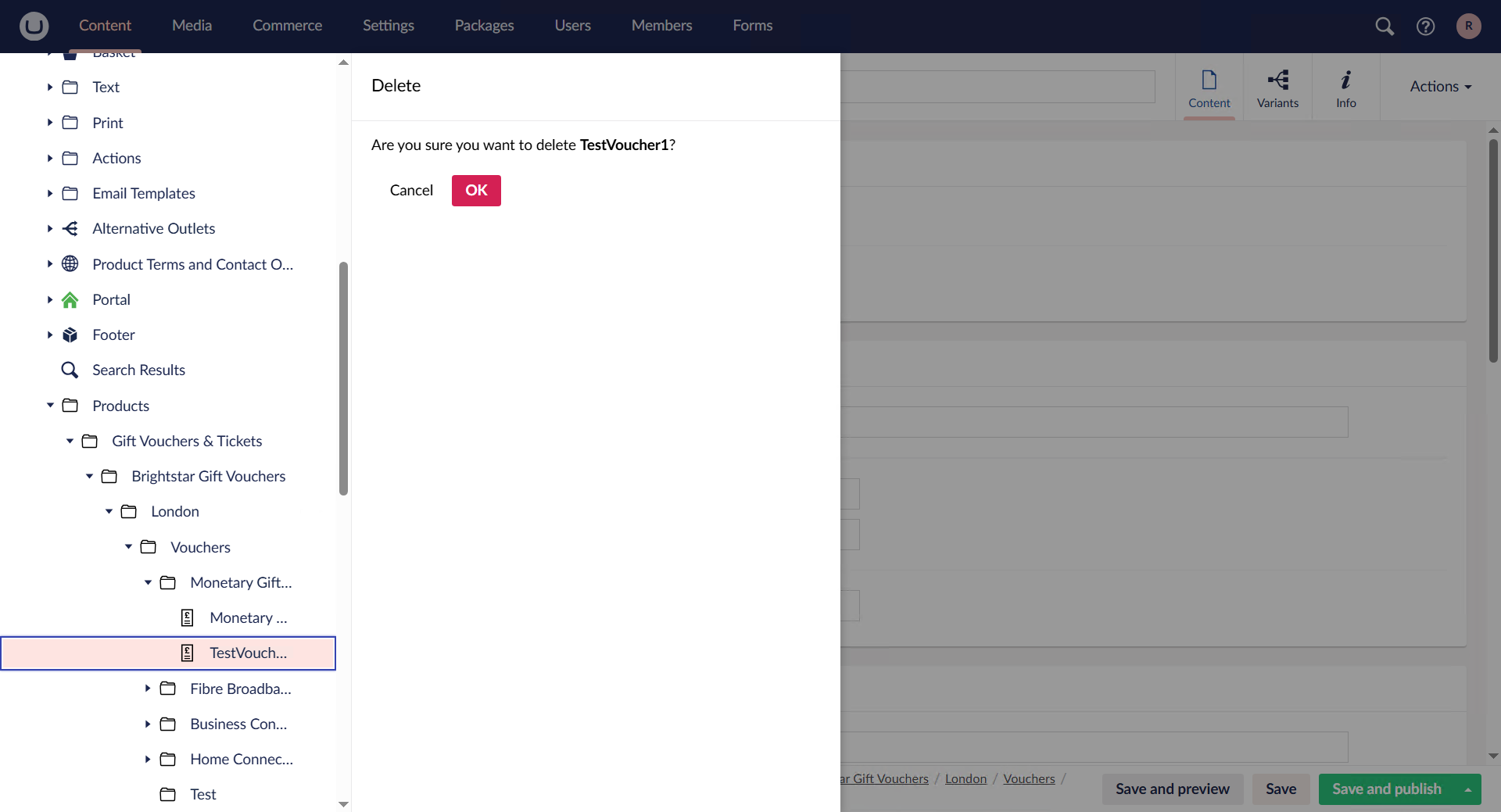 Staff facing UI, Voucher Creation image 8