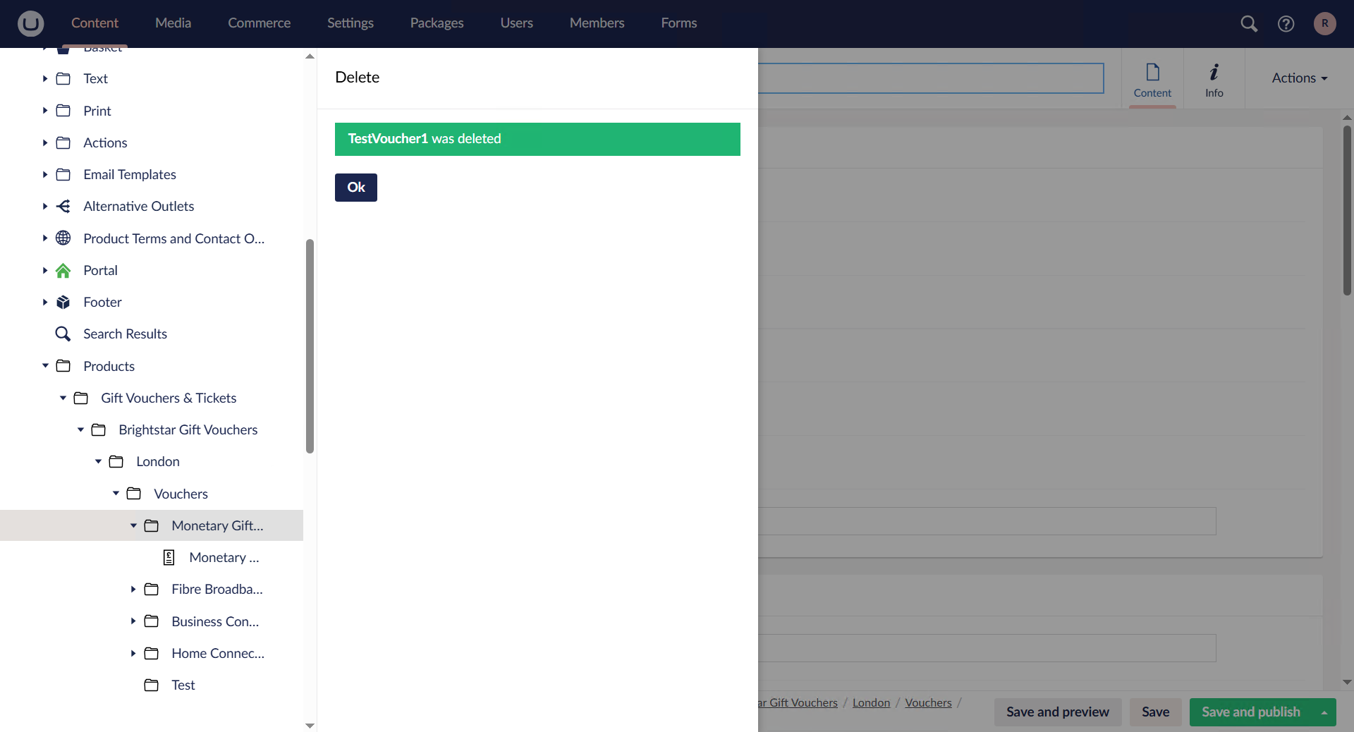 Staff facing UI, Voucher Creation image 9.1