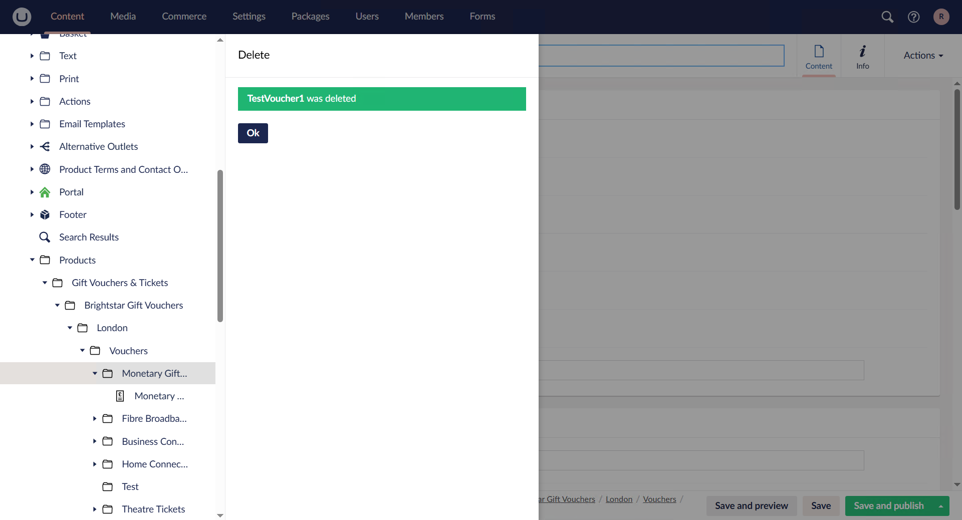 Staff facing UI, Voucher Creation image 9.1